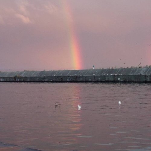 雷が鳴りました