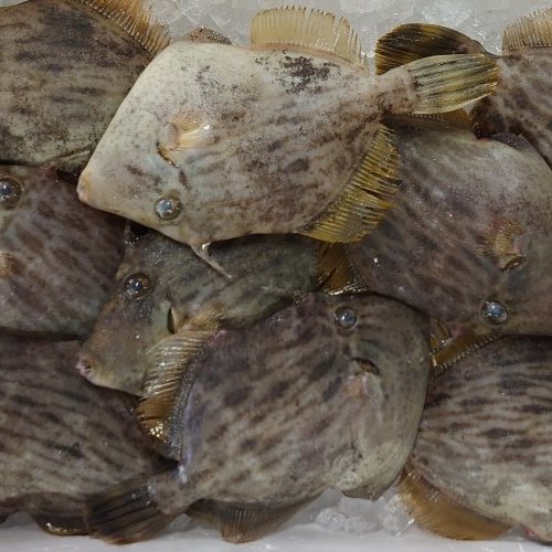 今、自分にできるＳＤＧs